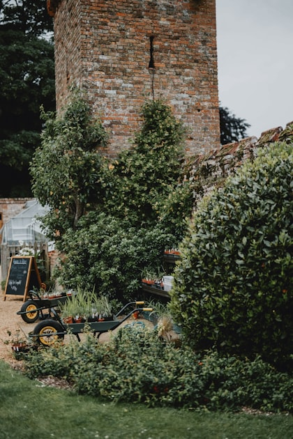 The Importance of Landscape Maintenance