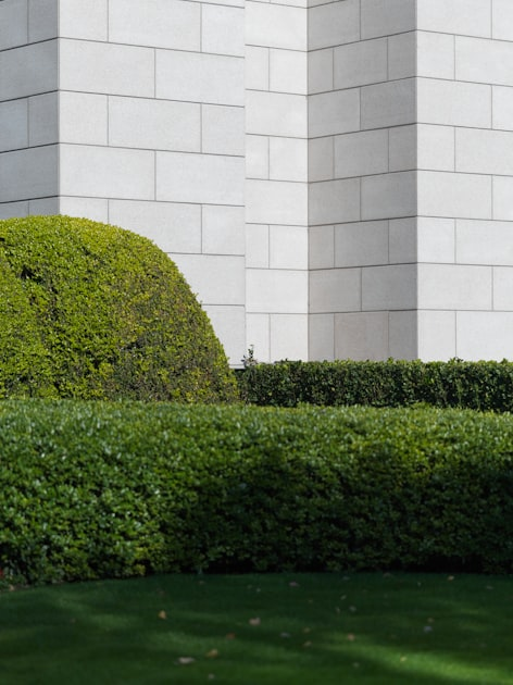Top Trends in Landscaping Design